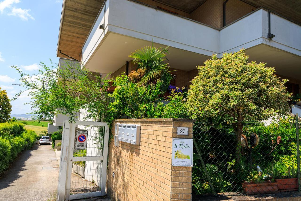 B&B Il Tiglio Porto SantʼElpidio Exterior foto